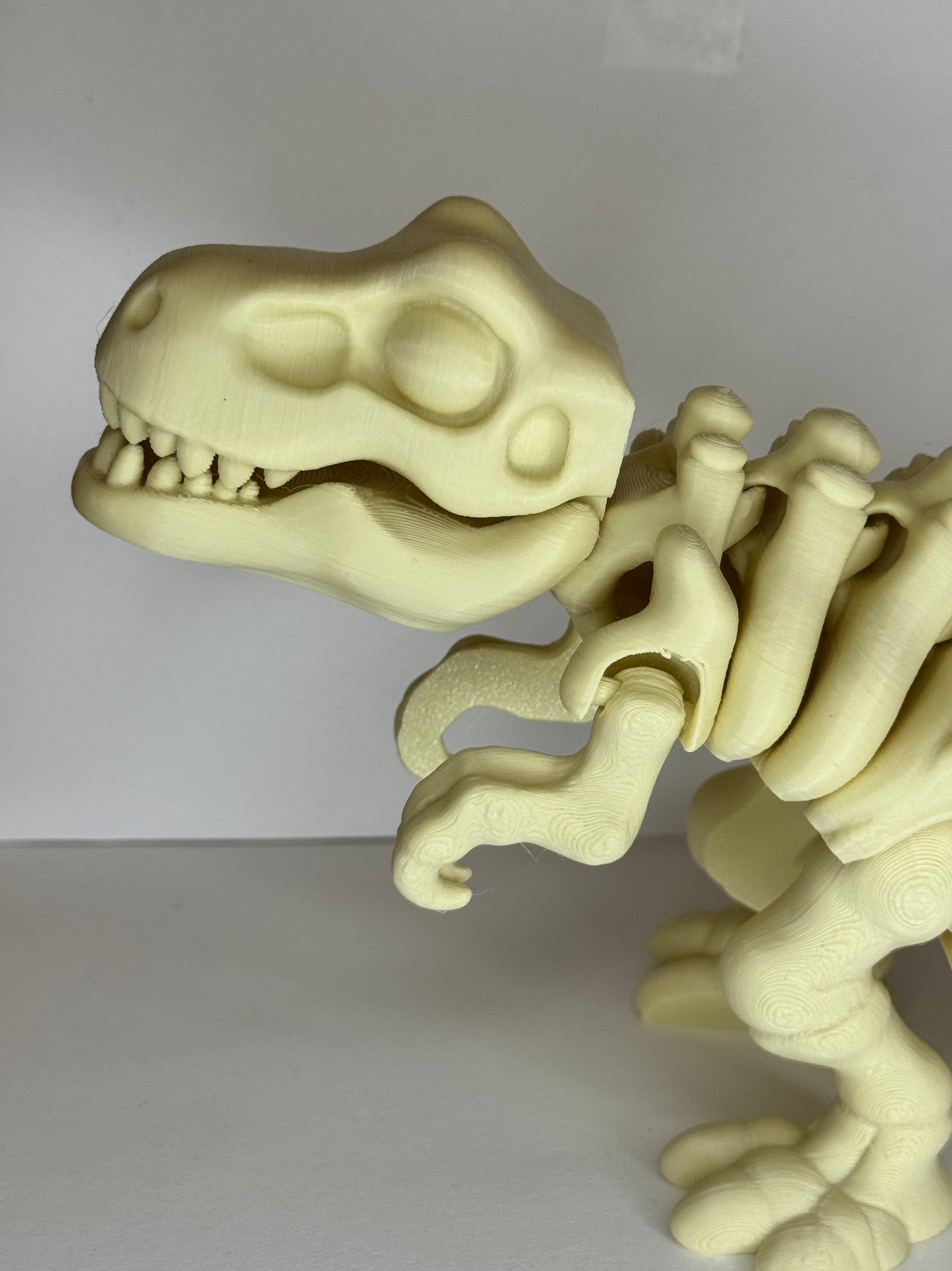 Skeleton Dinosaur