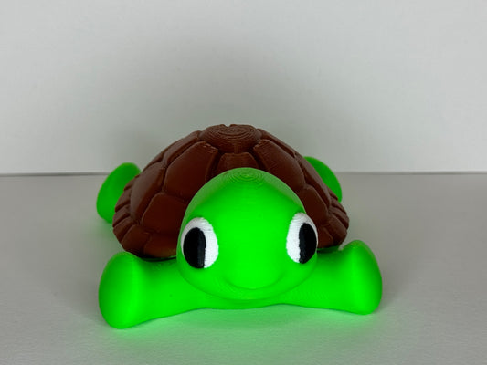 Cute turtle